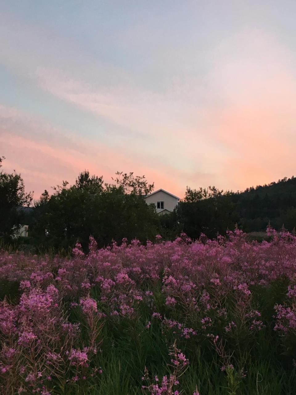 Bed and Breakfast La Chouette Viree Grandes-Bergeronnes Exterior foto